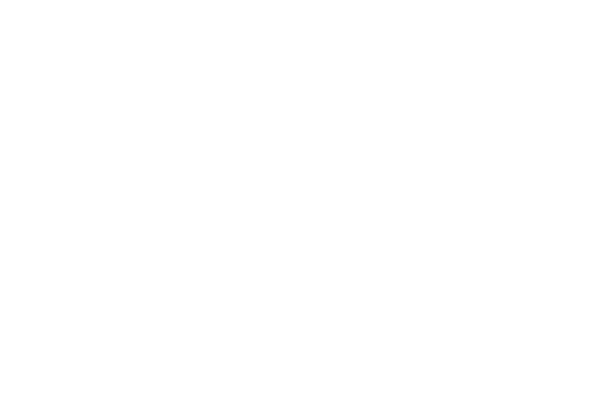Amega logo